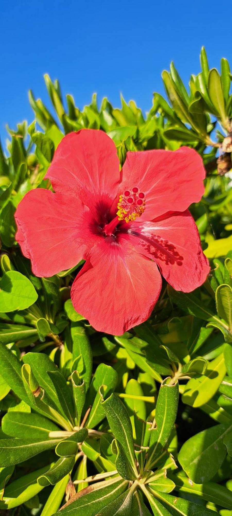 Endless Summer Fontane Bianche Ngoại thất bức ảnh